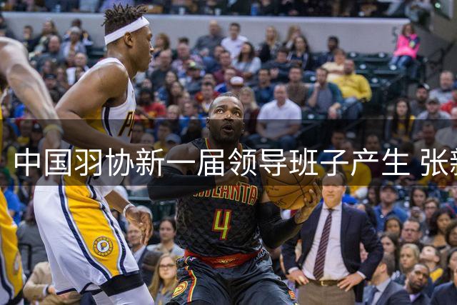 中国羽协新一届领导班子产生 张新就任主席
