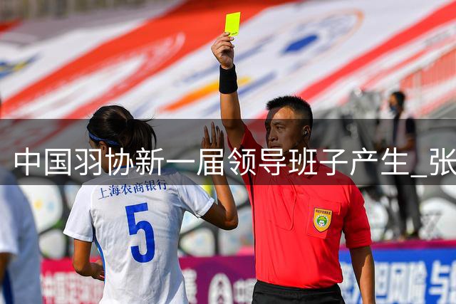 中国羽协新一届领导班子产生 张新就任主席